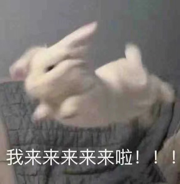 雙十一來襲丨正確的打開方式在這里！