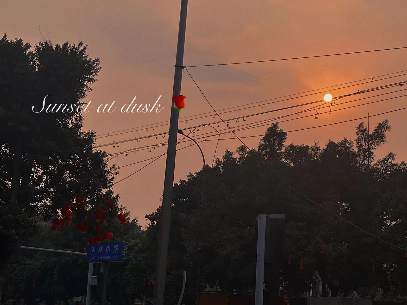 女神節丨禮物提前送，寵愛享不停